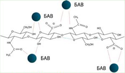 Ris-2-site.jpg Ris-2-site.jpg