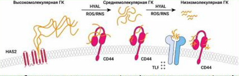 Ris-1-site.jpg Ris-1-site.jpg